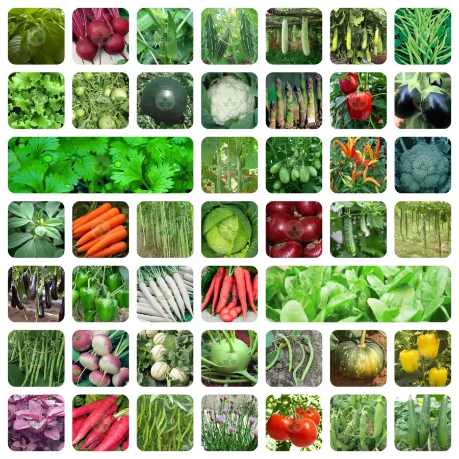 45 Variety of Vegetable Seeds