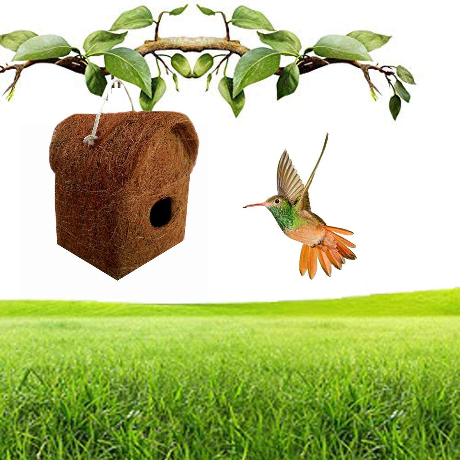 Liveonce Pure Nest Bird House