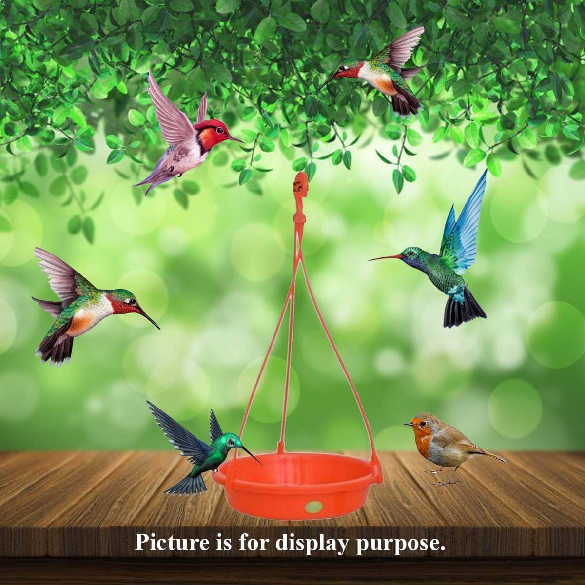 Vreeny Sparrow Bird Water Feeder